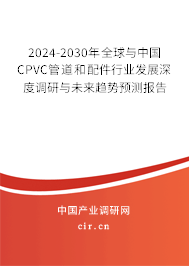 2024-2030年全球與中國CPVC管道和配件行業發展深度調研與未來趨勢預測報告