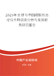 2025年全球與中國磁振熱治療儀市場調查分析與發展趨勢研究報告