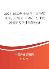 2025-2030年全球與中國地基合成孔徑雷達（SAR）行業發展調研及行業前景分析