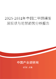 2025-2031年中國二甲酰肼發展現狀與前景趨勢分析報告