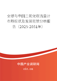 全球與中國二氧化碳流量計市場現狀及發展前景分析報告（2025-2031年）