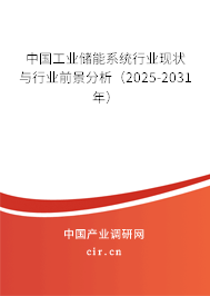 中國工業儲能系統行業現狀與行業前景分析（2025-2031年）