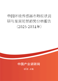 中國環(huán)境傳感器市場現(xiàn)狀調(diào)研與發(fā)展前景趨勢分析報告（2025-2031年）