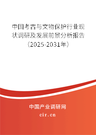 中國考古與文物保護行業現狀調研及發展前景分析報告（2025-2031年）