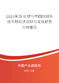 2025年版全球與中國控制系統市場現狀調研與發展趨勢分析報告