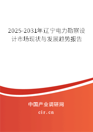 2025-2031年遼寧電力勘察設(shè)計(jì)市場現(xiàn)狀與發(fā)展趨勢報告