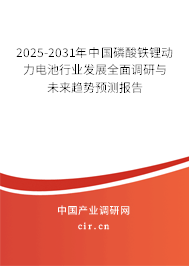 2025-2031年中國磷酸鐵鋰動力電池行業發展全面調研與未來趨勢預測報告