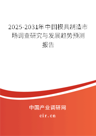 2025-2031年中國模具制造市場調查研究與發展趨勢預測報告