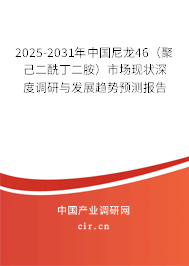 2025-2031年中國尼龍46（聚己二酰丁二胺）市場現狀深度調研與發展趨勢預測報告