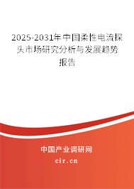 2025-2031年中國(guó)柔性電流探頭市場(chǎng)研究分析與發(fā)展趨勢(shì)報(bào)告