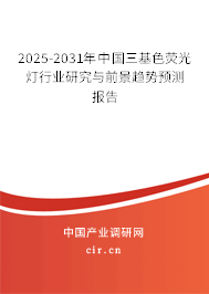 2025-2031年中國三基色熒光燈行業研究與前景趨勢預測報告