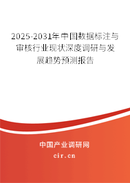 （最新）中國數據標注與審核行業現狀深度調研與發展趨勢預測報告