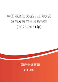 中國隧道防火板行業現狀調研與發展前景分析報告（2025-2031年）