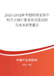 2025-2031年中國碳酸氫鈉干粉滅火器行業發展深度調研與未來趨勢報告