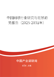 中國網球行業研究與前景趨勢報告（2025-2031年）