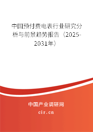 中國預付費電表行業研究分析與前景趨勢報告（2025-2031年）