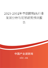 2025-2031年中國樟腦丸行業發展分析與前景趨勢預測報告