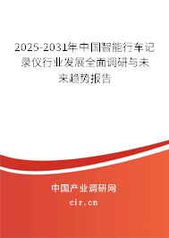 2024-2030年中國智能行車記錄儀行業發展全面調研與未來趨勢報告