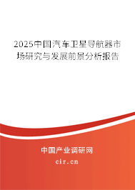 2025中國汽車衛星導航器市場研究與發展前景分析報告