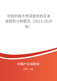 中國帥普市場深度剖析及發展趨勢分析報告（2023-2029年）