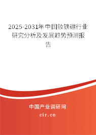 2025-2031年中國釹鐵硼行業(yè)研究分析及發(fā)展趨勢預測報告
