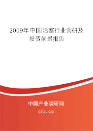 2009年中國活塞行業調研及投資前景報告