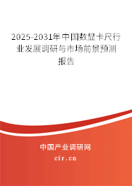 2025-2031年中國數顯卡尺行業發展調研與市場前景預測報告
