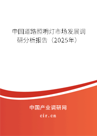 中國道路照明燈市場發展調研分析報告（2025年）