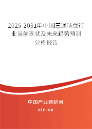 2025-2031年中國(guó)三通球伐行業(yè)當(dāng)前現(xiàn)狀及未來(lái)趨勢(shì)預(yù)測(cè)分析報(bào)告