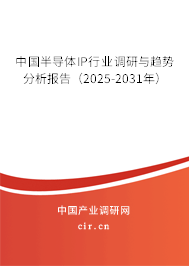 中國半導體IP行業調研與趨勢分析報告（2025-2031年）