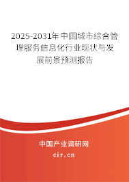 2025-2031年中國城市綜合管理服務信息化行業現狀與發展前景預測報告