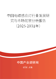 中國電磁感應燈行業發展研究與市場前景分析報告（2025-2031年）