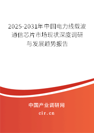 2025-2031年中國(guó)電力線載波通信芯片市場(chǎng)現(xiàn)狀深度調(diào)研與發(fā)展趨勢(shì)報(bào)告