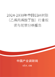 2024-2030年中國EBA樹脂（乙烯丙烯酸丁酯）行業現狀與前景分析報告