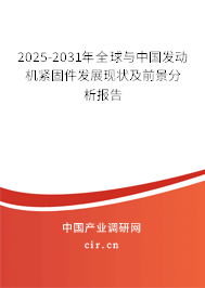 2025-2031年全球與中國發(fā)動機緊固件發(fā)展現(xiàn)狀及前景分析報告