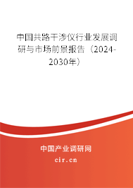 中國共路干涉儀行業發展調研與市場前景報告（2024-2030年）