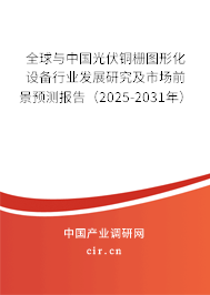 全球與中國光伏銅柵圖形化設備行業發展研究及市場前景預測報告（2025-2031年）