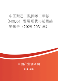 中國聚己二酰間苯二甲胺（MXD6）發展現狀與前景趨勢報告（2025-2031年）