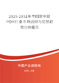2025-2031年中國聚甲醛POM行業(yè)市場調研與前景趨勢分析報告