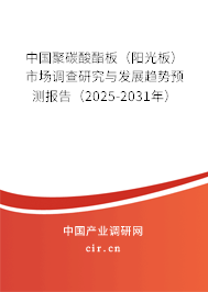 中國聚碳酸酯板（陽光板）市場調查研究與發展趨勢預測報告（2025-2031年）