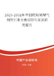 2025-2031年中國垃圾填埋氣利用行業全面調研與發展趨勢報告