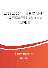 2023-2029年中國利塞膦酸行業發展深度調研與未來趨勢預測報告