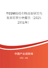 中國裸銅線市場調(diào)查研究與發(fā)展前景分析報告（2025-2031年）