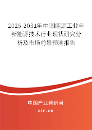 2025-2031年中國能源工業與新能源技術行業現狀研究分析及市場前景預測報告