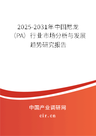2025-2031年中國尼龍（PA）行業(yè)市場分析與發(fā)展趨勢研究報(bào)告