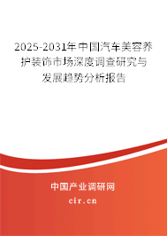 2025-2031年中國汽車美容養護裝飾市場深度調查研究與發展趨勢分析報告