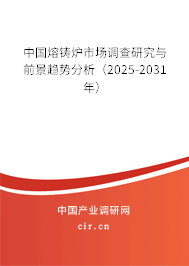 中國熔鑄爐市場調查研究與前景趨勢分析（2025-2031年）