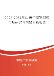 2025-2031年山東中厚寬鋼帶市場研究與前景分析報告