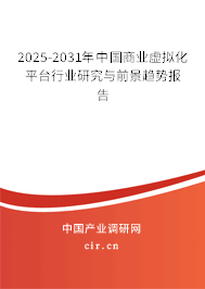 2025-2031年中國商業虛擬化平臺行業研究與前景趨勢報告