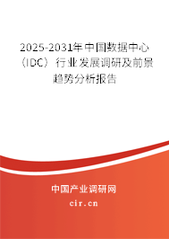 2025-2031年中國數(shù)據(jù)中心（IDC）行業(yè)發(fā)展調(diào)研及前景趨勢(shì)分析報(bào)告